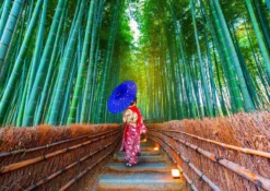 Asian Woman in Bamboo Forest Puzzel (1000 stukjes)