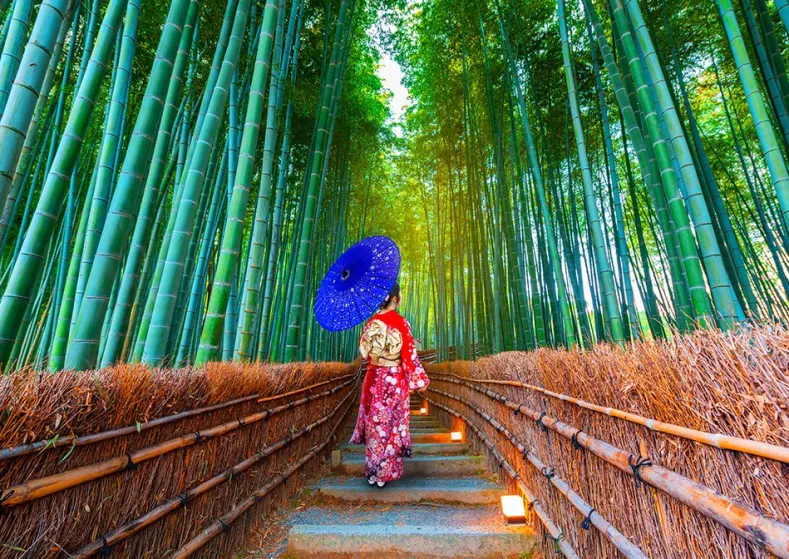 Asian Woman in Bamboo Forest Puzzel (1000 stukjes)