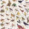 Birds Puzzel (1000 stukjes)