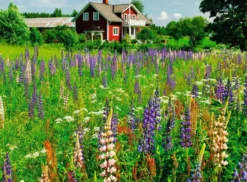 Boerderij in Zweden puzzel Puzzel (500 stukjes)