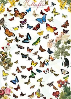 Butterflies Puzzel (1000 stukjes)