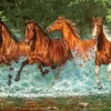 Cascade Run Puzzel (300 stukjes)