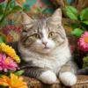 Cat in Bloom Puzzel (1000 stukjes)