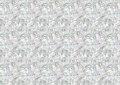 Challenge Puzzel - My Little Pony (1000 stukjes)