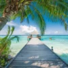 Dream Beach on the Malededives Puzzel (4000 stukjes)