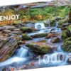 Forest Stream in Autumn Puzzel (1000 stukjes)