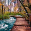Forest Stream in Plitvice - Croatia Puzzel (1000 stukjes)