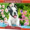 French Bulldog Puppy Puzzel (500 stukjes)
