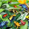 Fun Frogs Puzzel (500 stukjes)