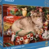 Geoff Tristram - All Wrapped Up Puzzel (500 stukjes)