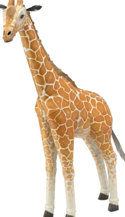 Giraffe Bouwpakket