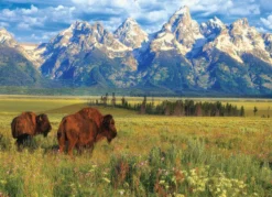 Grand Teton National Park Puzzel (1000 stukjes)