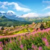 Hala Gasienicowa,Tatras Puzzel (1000 stukjes)