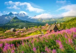 Hala Gasienicowa,Tatras Puzzel (1000 stukjes)