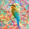 Happy Bird Puzzel (1000 stukjes)