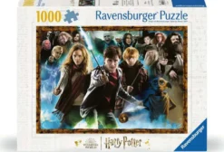 Harry Potter - De Tovenaarsleerling Puzzel (1000 stukjes)