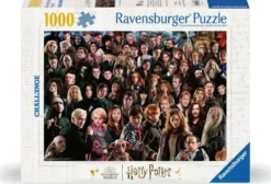 Harry Potter - Harry Potter Puzzel (1000 stukjes)