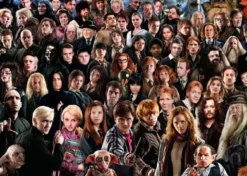 Harry Potter - Harry Potter Puzzel (1000 stukjes)