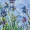 Irises (Detail) - Claude Monet Puzzel (1000 stukjes)