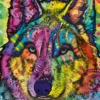 Jolly Pets - Wolf's Soul Puzzel (1000 stukjes)