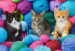 Kittens in Yarn Store Puzzel (1000 stukjes)
