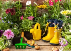 Klaar voor de Tuin Puzzel (1000 stukjes)