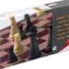 Magnetische Schaak en Dam Set (Klein)