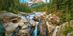 Mistaya Canyon, Banff National Park, Canada Puzzel (4000 stukjes)