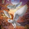 Moonlight Owls Puzzel (1000 stukjes)