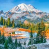 Mount Rainier National Park - USA Puzzel (1000 stukjes)