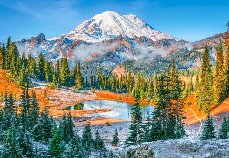 Mount Rainier National Park - USA Puzzel (1000 stukjes)