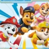 Paw Patrol Puzzel (4 in 1)