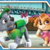 Paw Patrol Puzzel (4 in a box)