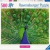 Peacock Puzzel (500 stukjes)