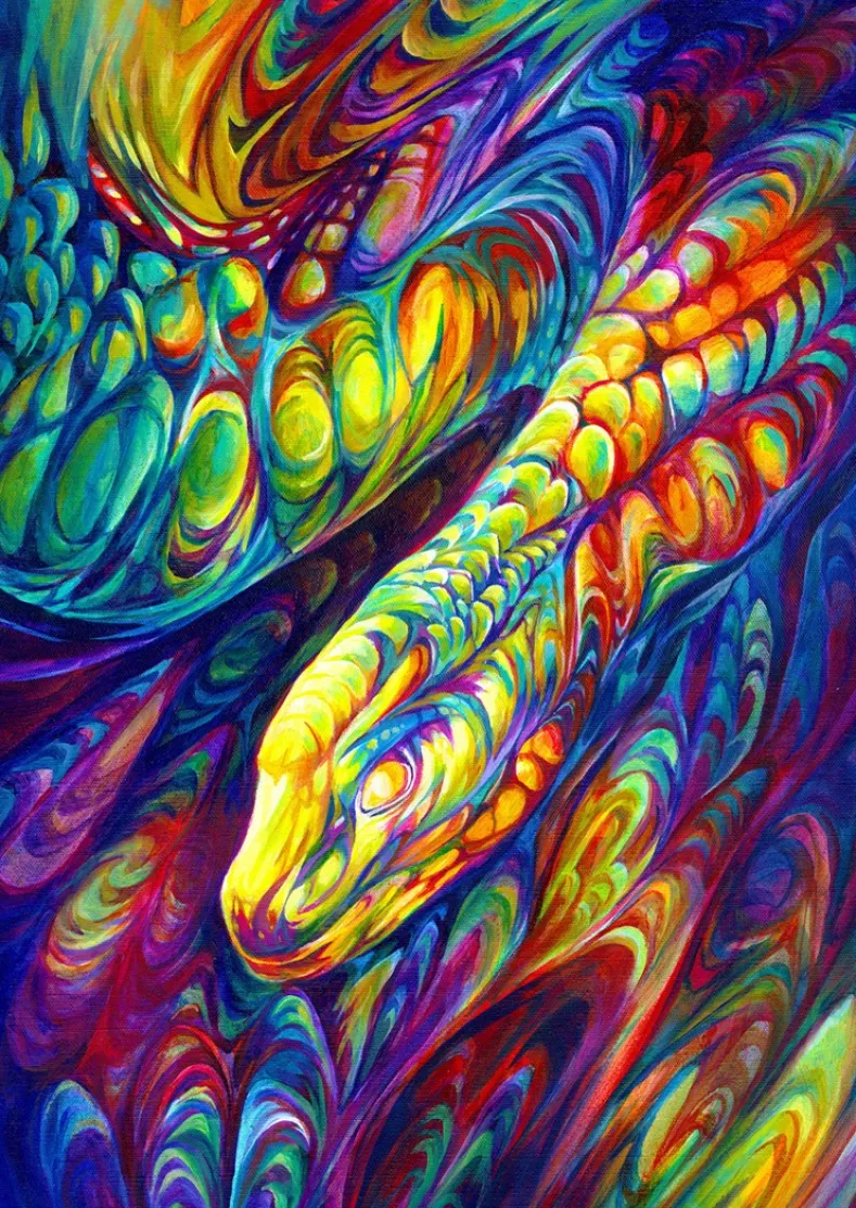 Rainbow Snake Puzzel (1000 stukjes)