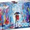 Rainy Love Puzzel (1000 stukjes)