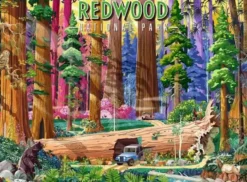 Redwood National Park Puzzel (500 stukjes)