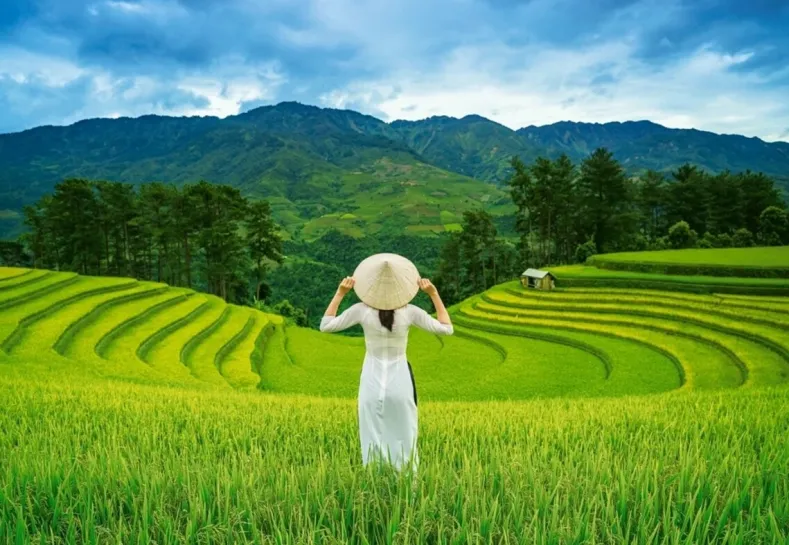 Rice Fields in Vietnam Puzzel (1000 stukjes)