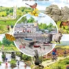 Richard Macneil - Dartmoor & Exmoor Puzzel (1000 stukjes)