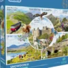 Richard MacNeil - Snowdonia Puzzel (1000 stukjes)
