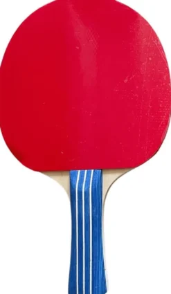SportX - Tafeltennisbat (4 ster)