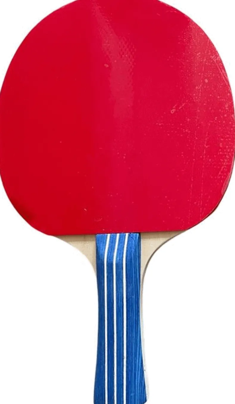 SportX - Tafeltennisbat (4 ster)
