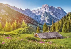 Summer in the Alps Puzzel (500 stukjes)