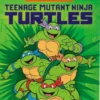 Teenage Mutant Ninja Turtles Starter Deck