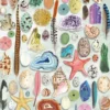 The Art File - Natural Curiosities Puzzel (1000 stukjes)