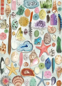 The Art File - Natural Curiosities Puzzel (1000 stukjes)