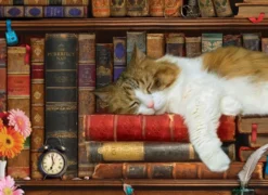 The Cat Nap Puzzel (500 XL stukjes)