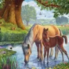The Fell Ponies Puzzel (1000 stukjes)