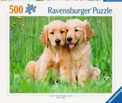 The Golden Retriever Brothers (500 stukjes)