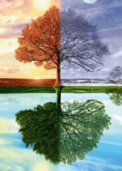 The Seasons Tree Puzzel (500 stukjes)